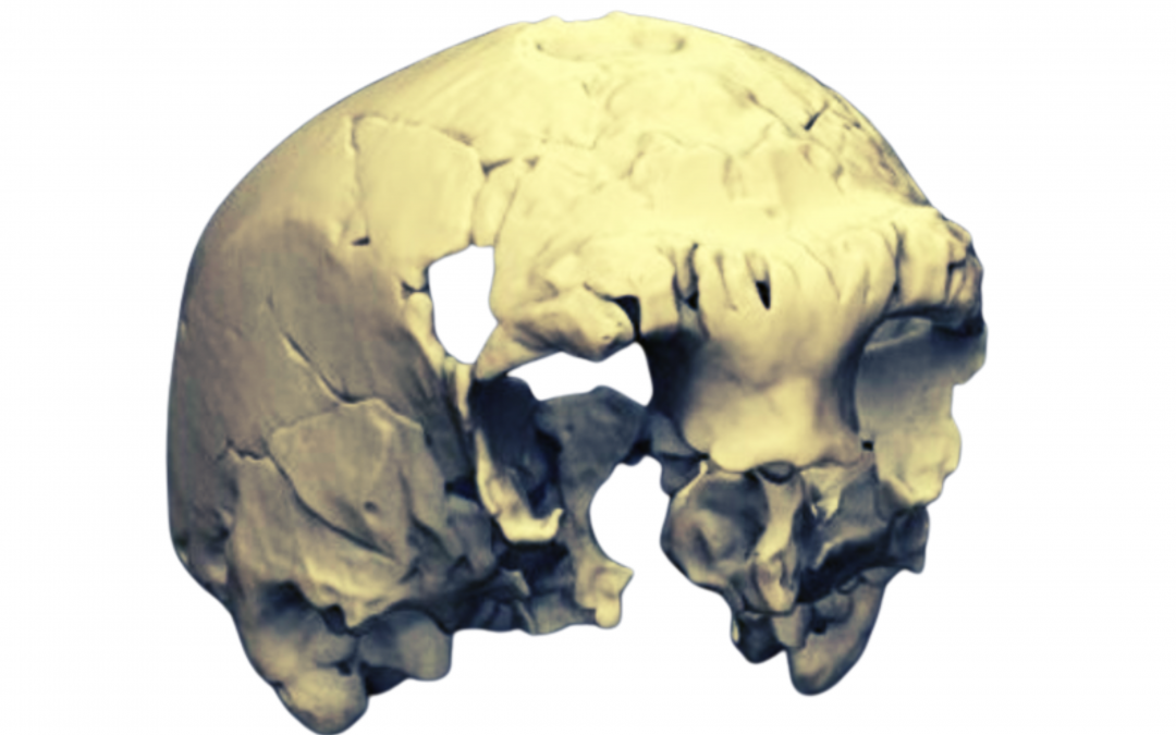 ACD – Evolução Humana e Pré-História: das primeiras ferramentas ao pensamento simbólico