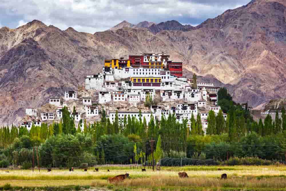 Visita de estudo Pequeno Tibete & Reino de Siquim
